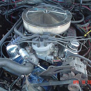 WHEELSMUSTANG 008