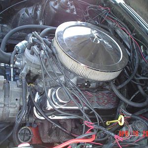 WHEELSMUSTANG 009