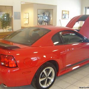dealer1