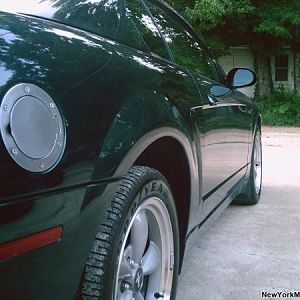 3553.jpg