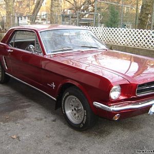 Picture mustang 039