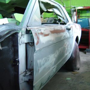 Picture mustang 008