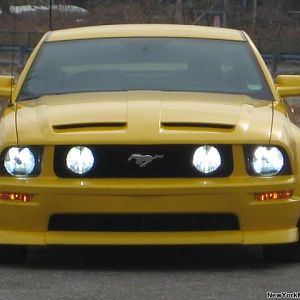 fourrrrrrrr,hids