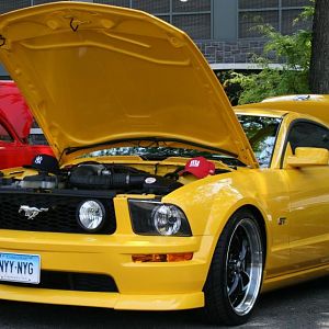 FORDHAM SHOW