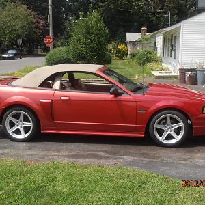 New Silver Saleens