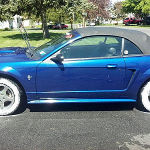 white walls?
