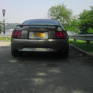 IMAG0293