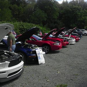 IMAG0482