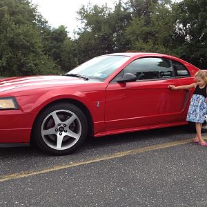 sam and mustang