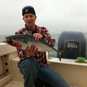 Same Fish
