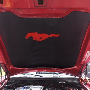 New Hood liner