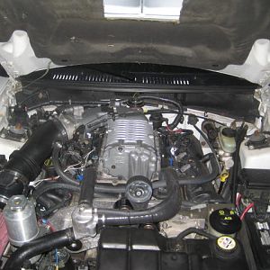 32973.jpg