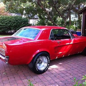 Mustang4
