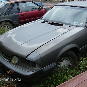 new 015