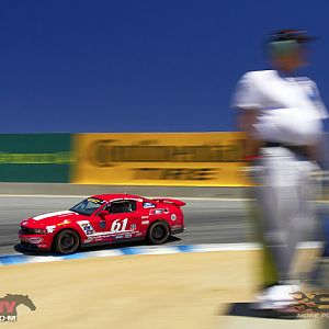 Roush 4