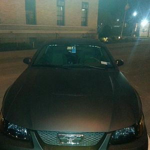 Plasti dip
