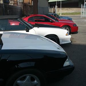IMG 20121215 112420