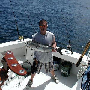 12lb bluefish