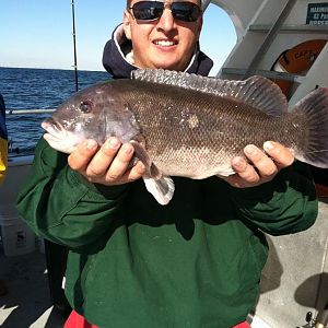 9lb blackfish