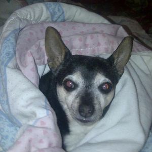 benny old