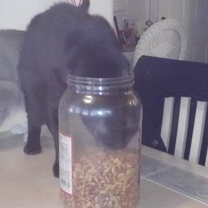 241