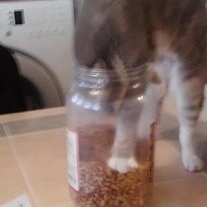 237