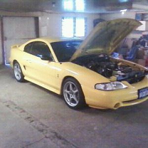 uncles cobra