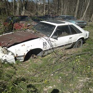 bone yard 3