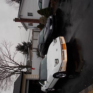 DSCN0062