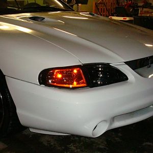 LF