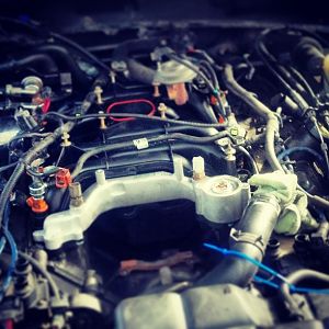 Metal>Plastic