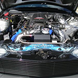 March 2013 pics 023