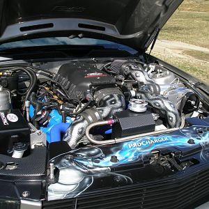 March 2013 pics 026