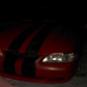 MUSTANG