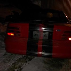 MUSTANG2