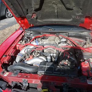 IMG 20130408 164254