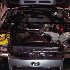 stang motor