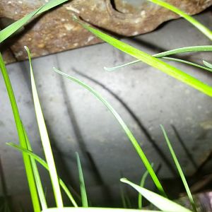 IMG 20130503 170231