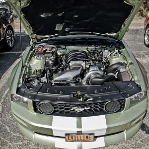 39681.jpg