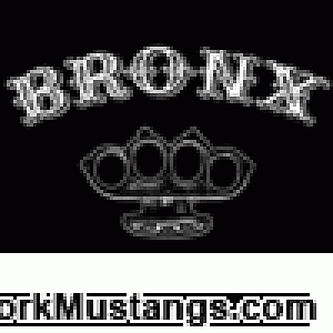 bronx