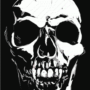 skull