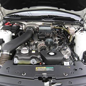 IMG 0517