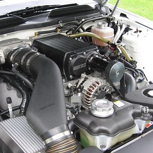 IMG 0519