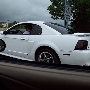 Bubba's GT.