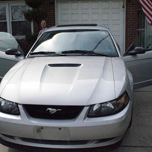 Mustang1
