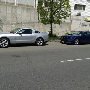 IMG 0224