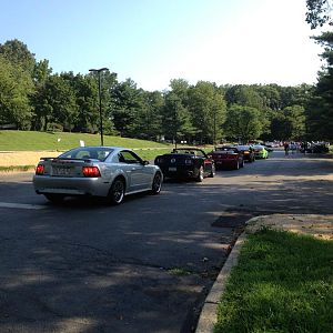 IMG 6930