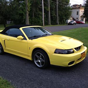 My 2003 cobra