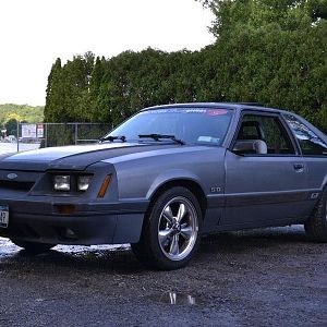 43305.jpg