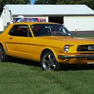 mustang